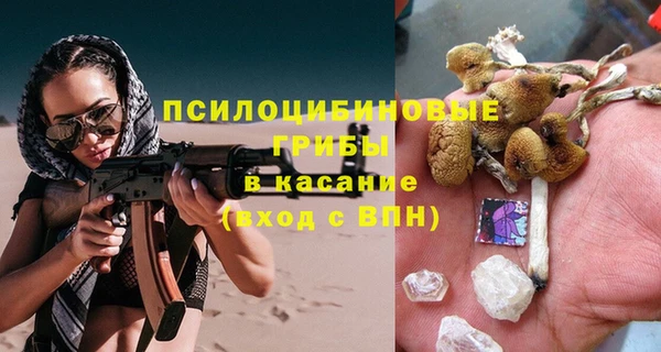 индика Богданович